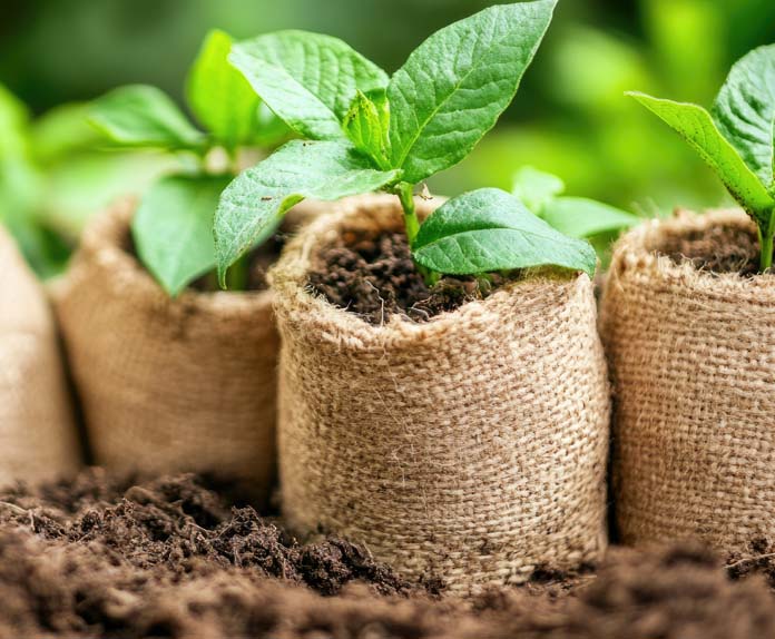 eco-friendly garden accessories in a lush green backyard