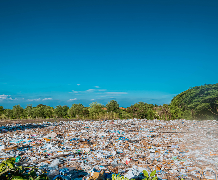Jute vs. Plastic