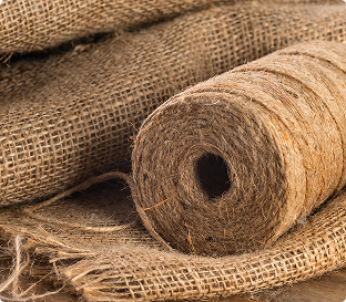 Jute