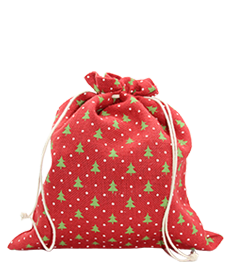 Christmas Pouch