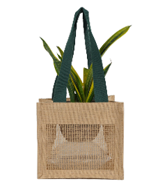 Garden Products