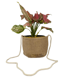 Jute Planter Bag