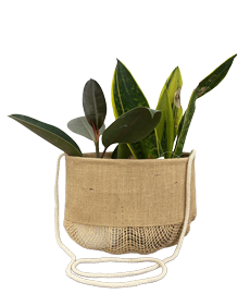 Jute Planter Bag