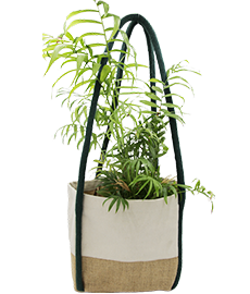 Jute Planter Bag