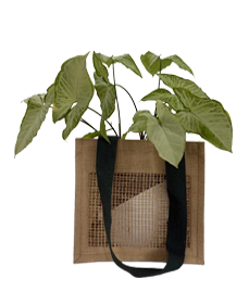 Jute Planter Bag
