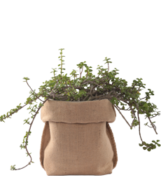 Jute Planter Bag